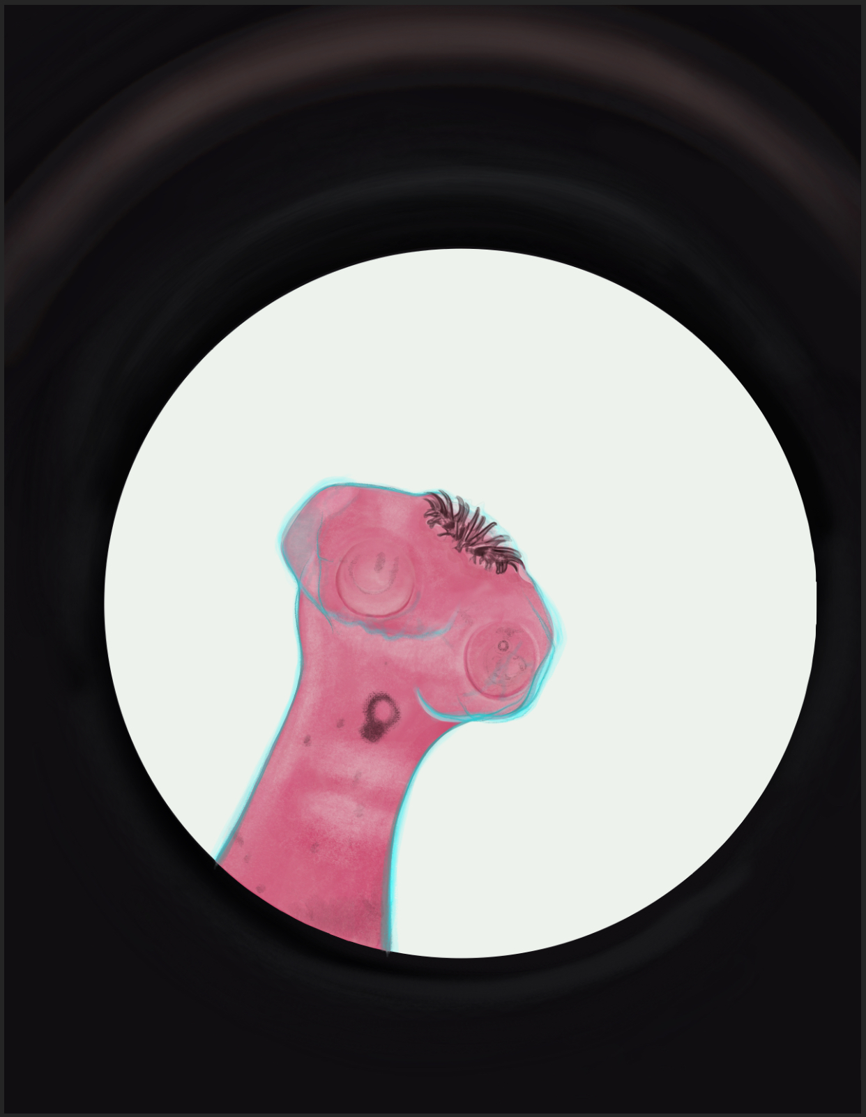Tapeworm_Scolex tapeworm Scolex